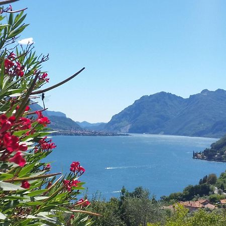 Alba E Tramonto Appartamenti Vista Lago เบลลาโจ ภายนอก รูปภาพ