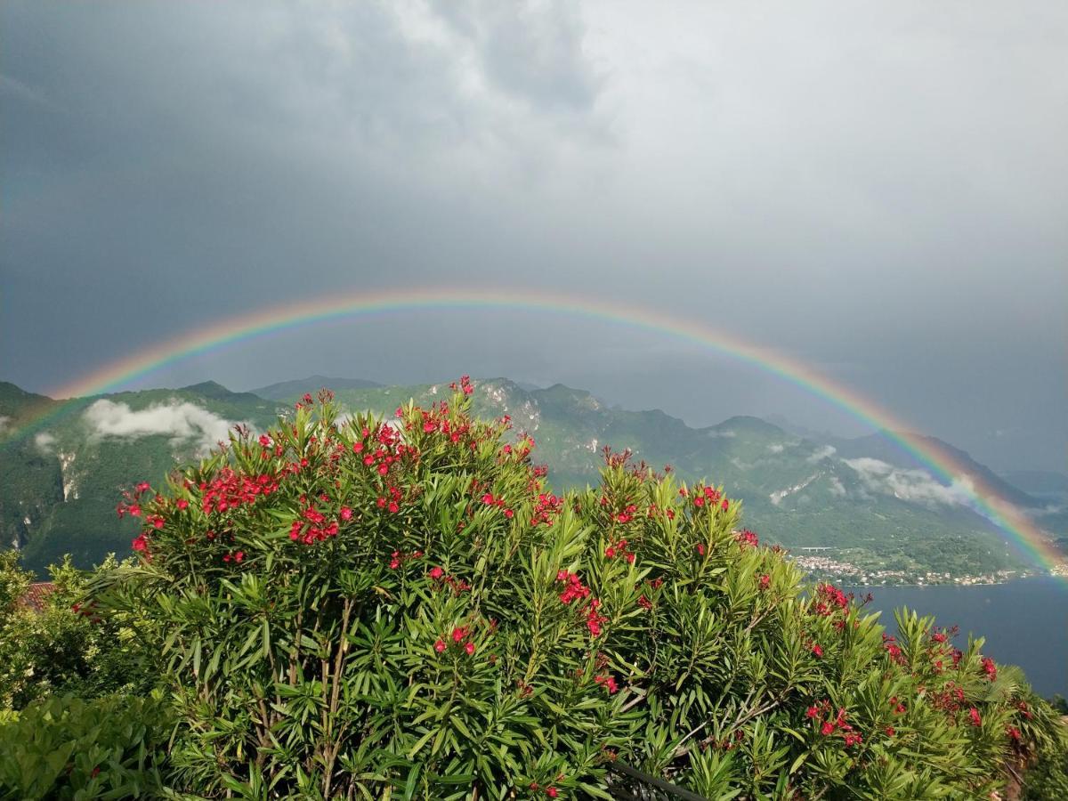 Alba E Tramonto Appartamenti Vista Lago เบลลาโจ ภายนอก รูปภาพ