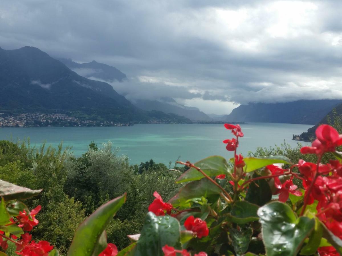 Alba E Tramonto Appartamenti Vista Lago เบลลาโจ ภายนอก รูปภาพ