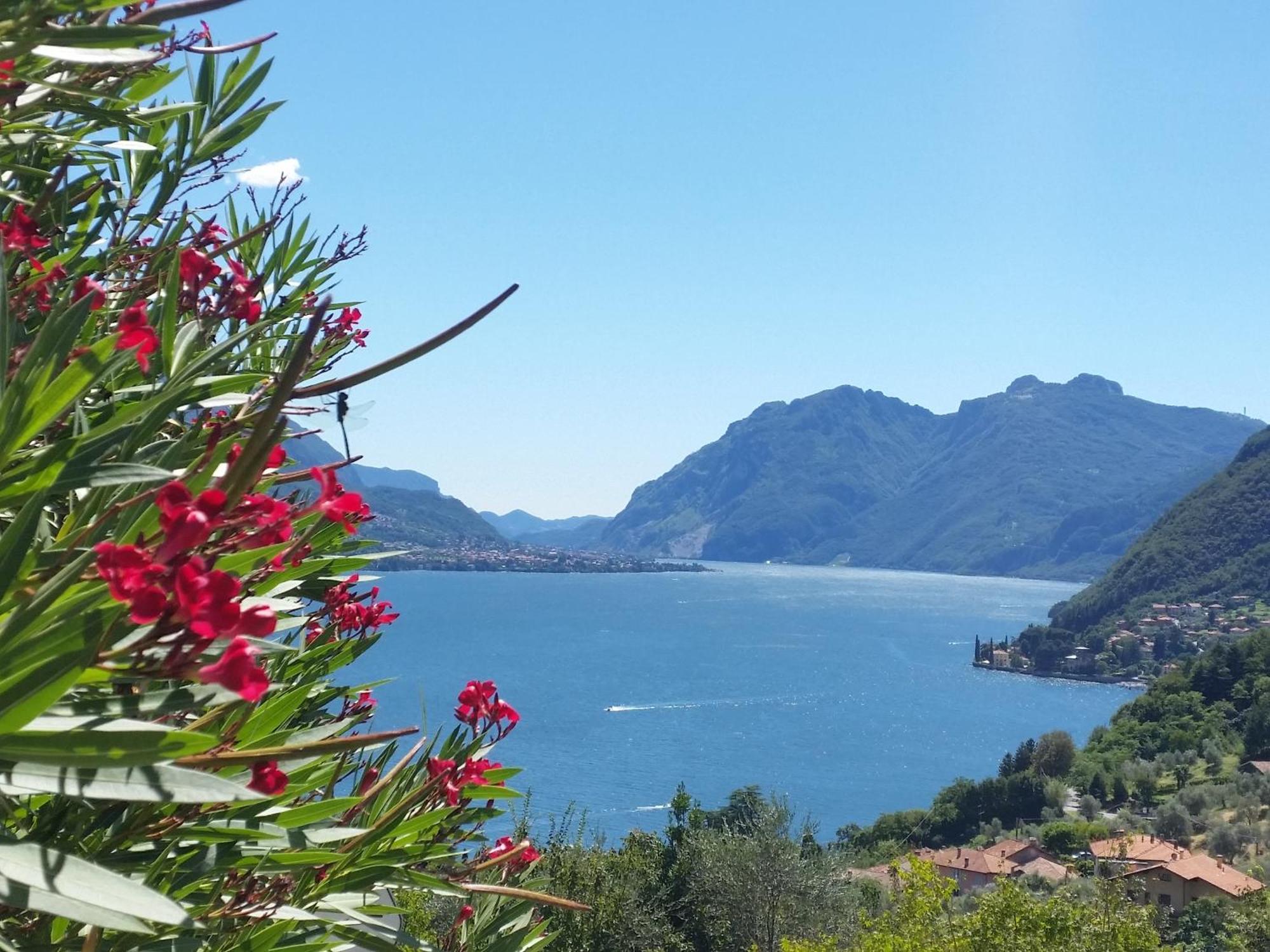 Alba E Tramonto Appartamenti Vista Lago เบลลาโจ ภายนอก รูปภาพ